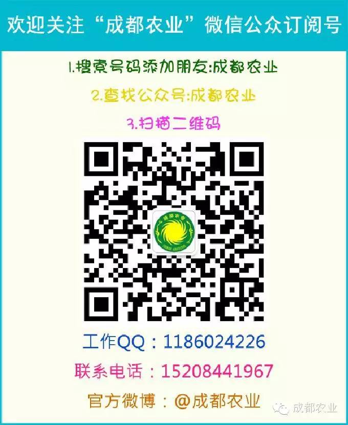 致富小视频加工厂_视频致富经_致富经全部视频