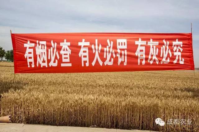 致富经全部视频_视频致富经_致富小视频加工厂