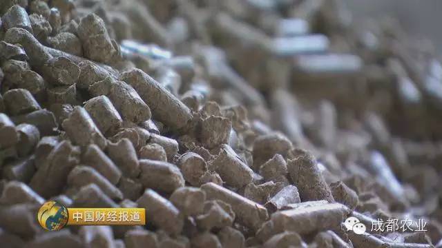视频致富经_致富经全部视频_致富小视频加工厂