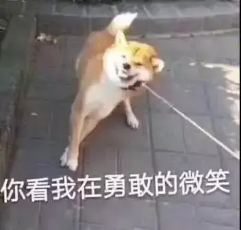 传教土体位的经验体会心得分享_咖啡馆经营心得经验_买鱼经验心得