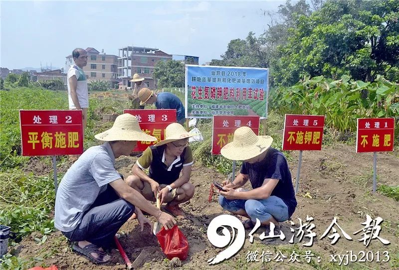 成效作物优质推广经验总结_如何推广作物品种_优质作物推广成效及经验