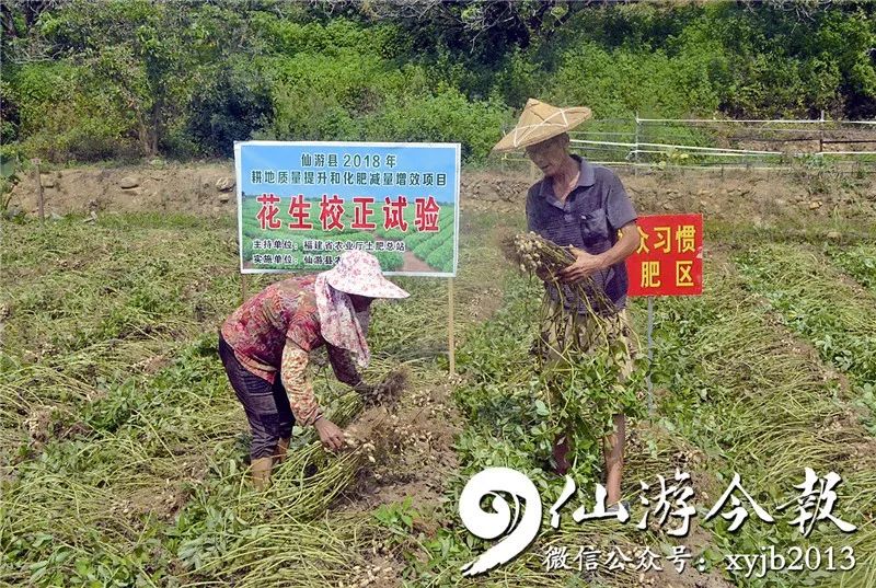 优质作物推广成效及经验_成效作物优质推广经验总结_如何推广作物品种