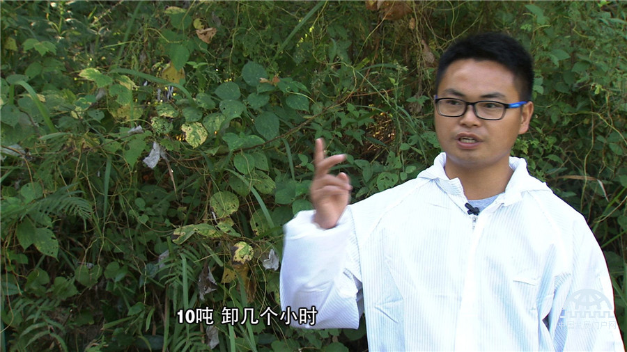 致富养猪场下载_致富经养猪_致富养猪场红包版
