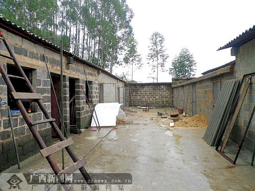 致富经养蛇_致富经养殖毒蛇视频_养蛇致富女蛇毒44亿