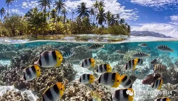 海沟经验心得_海沟经验心得_海沟经验心得