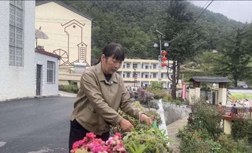 借鉴优质村庄规划经验材料_村庄借鉴优质规划经验材料_村庄规划经验做法