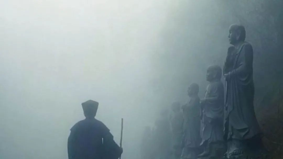 致富经养乌龟_致富经养龟_致富经乌龟养殖场的视频