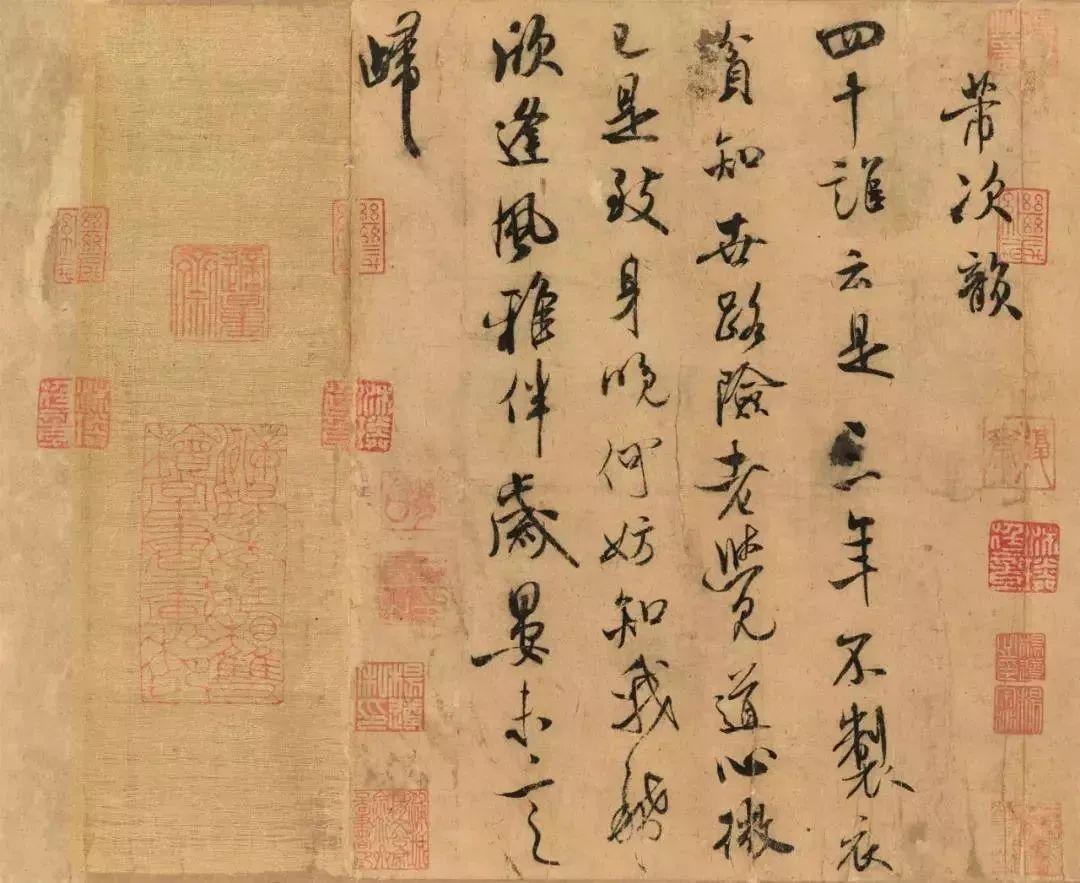 致富经养乌龟_致富经养龟_致富经乌龟养殖场的视频