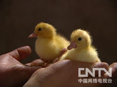 致富网下载_致富网官方网站_致富经官网