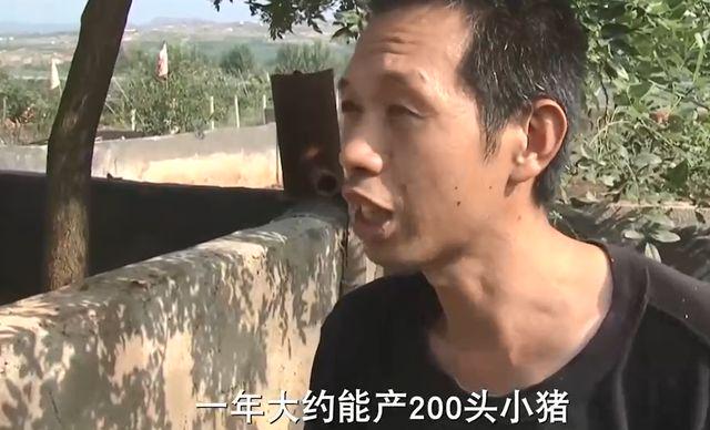 2020农村养殖致富门路_农村养殖致富经_致富养殖农村有补贴吗