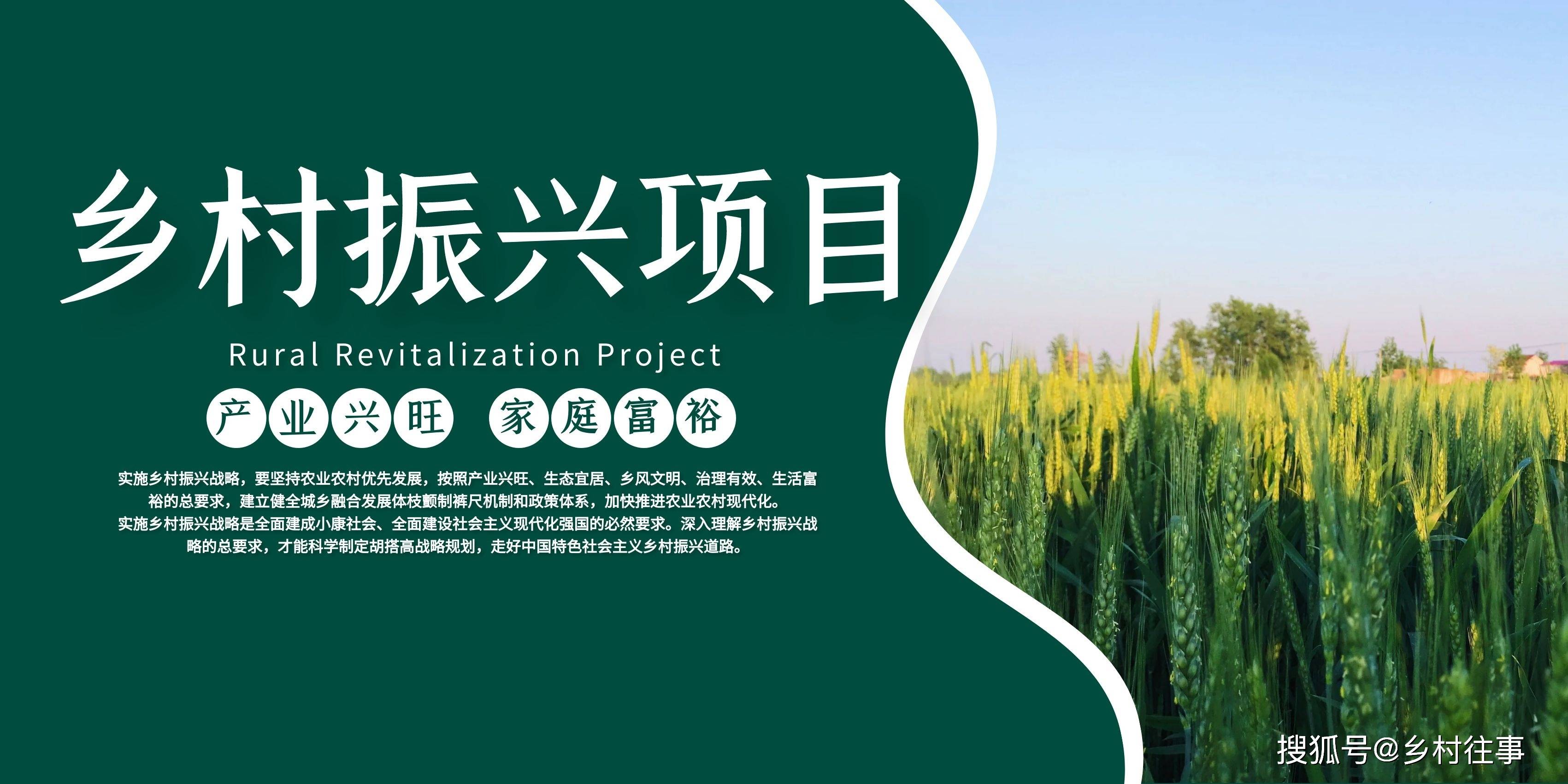 农村创业做什么好种植和养殖哪个赚钱