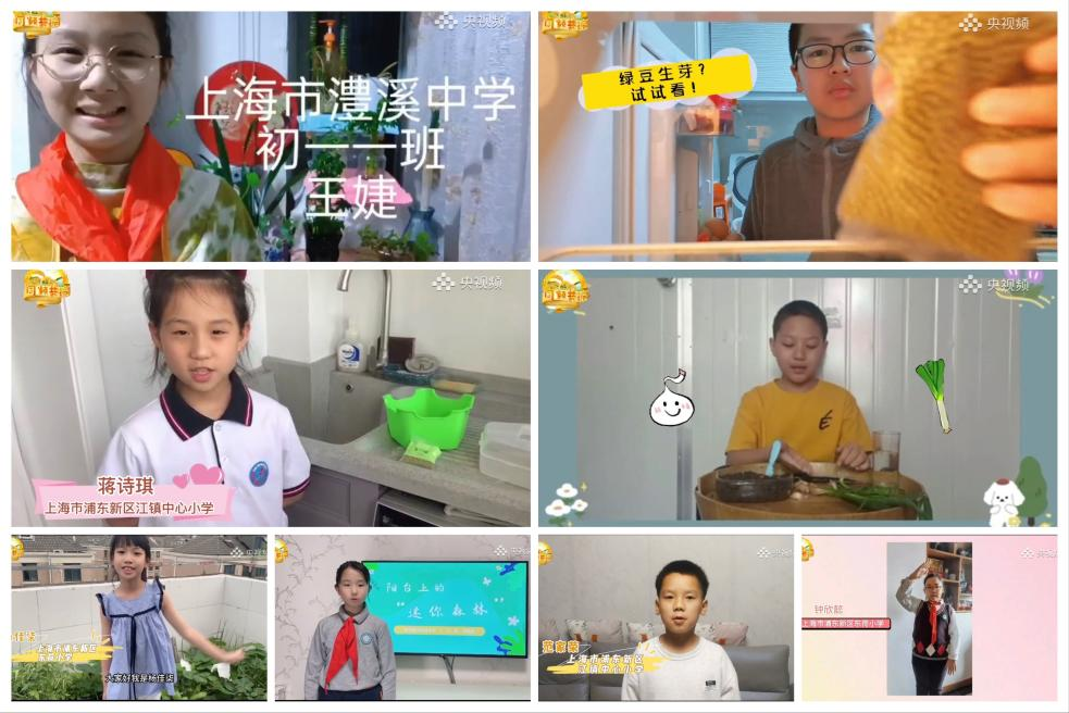 央视农业致富节目_中央农业节目致富经视频_农业节目致富经