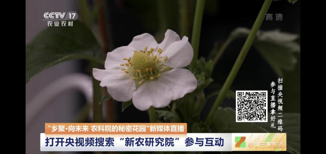 农业节目致富经_央视农业致富节目_中央农业节目致富经视频
