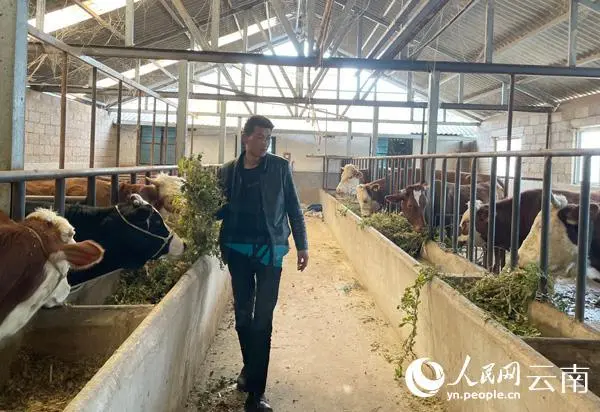 致富农业项目_农业致富经_致富农业网