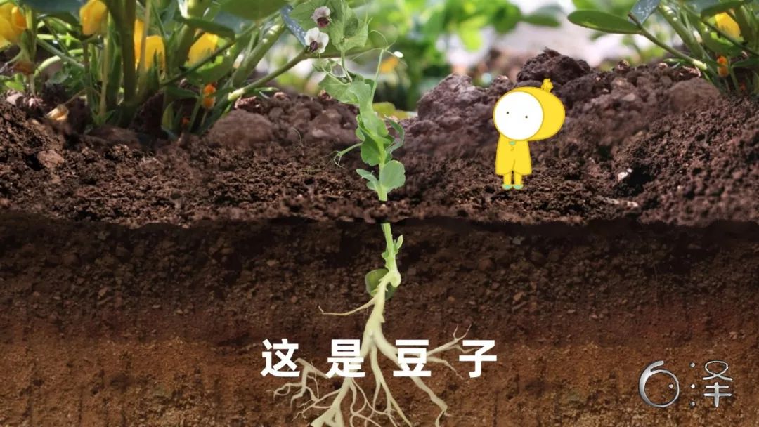 优秀回答_优质回答的100个经验_优质回答经验100字左右