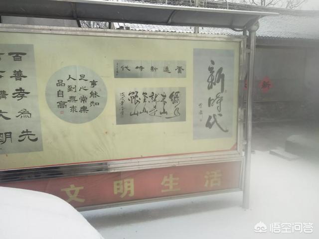 中央七套致富经(中央七套致富经全部)
