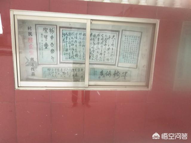 中央七套致富经(中央七套致富经全部)