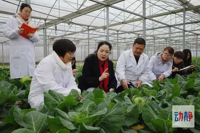农民致富经_致富农民有情怀打一成语_致富农民劳动的精神