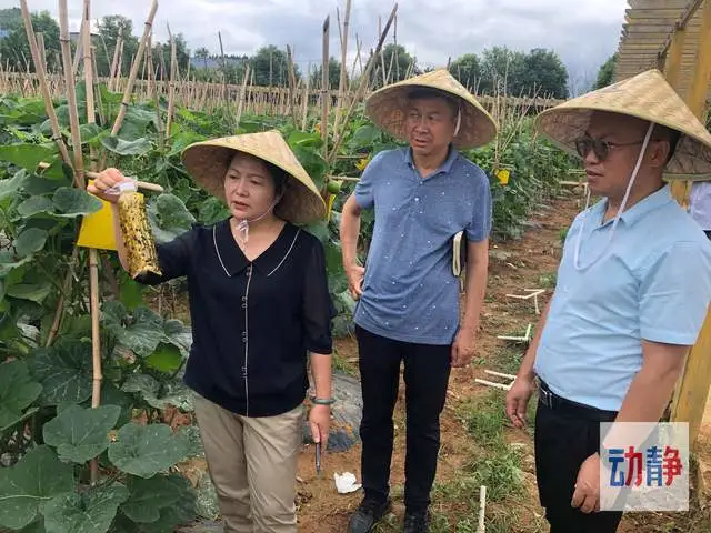 致富农民劳动的精神_致富农民有情怀打一成语_农民致富经