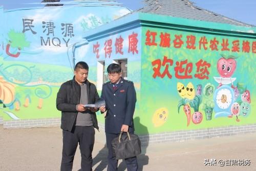 羊啊羊那么多的羊_致富经羊_致富羊群满山跑