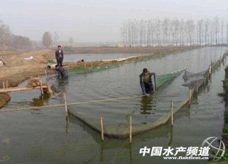 致富经泥鳅养殖_养殖泥鳅挣钱吗_致富养殖泥鳅怎么样