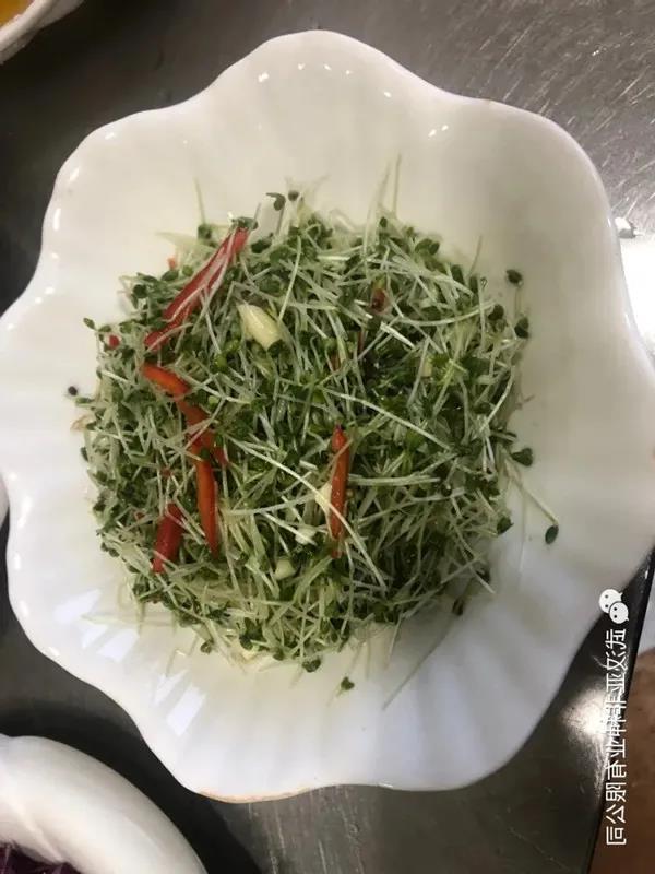 致富鸡汤_致富经鸡_致富鸡幸福路
