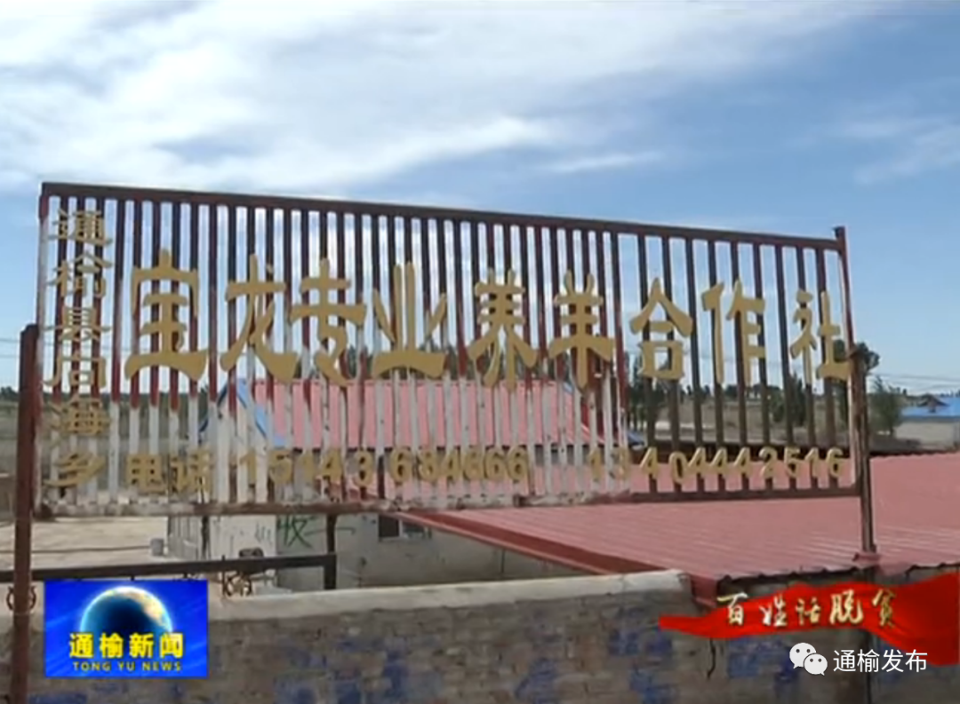 白城通榆县向海乡金星村胜利屯赵宝龙的致富经