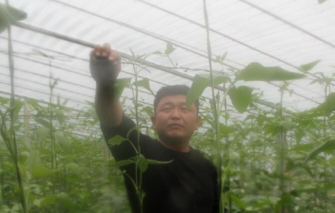 农民致富经_致富农民劳动的精神_致富农民的心理