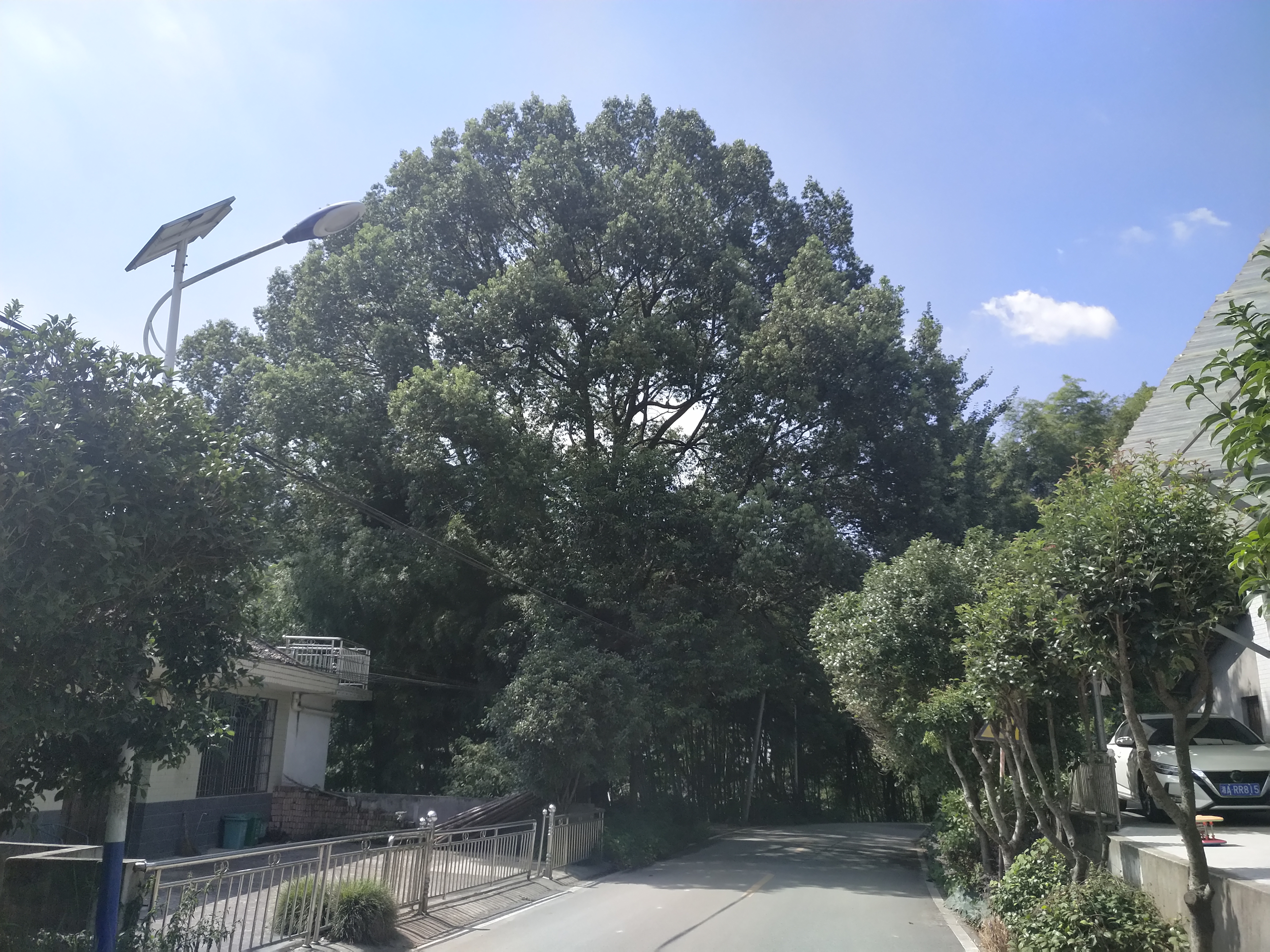 村庄规划的思路_借鉴优质村庄规划经验分享_村庄规划经验总结