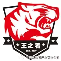 心得经验怎么写_心得与经验_小球经验心得