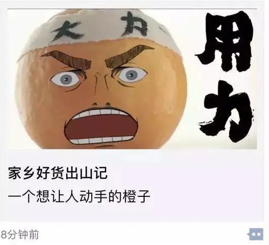 致富经一亩地赚40万_致富经2018_致富2023年短视频