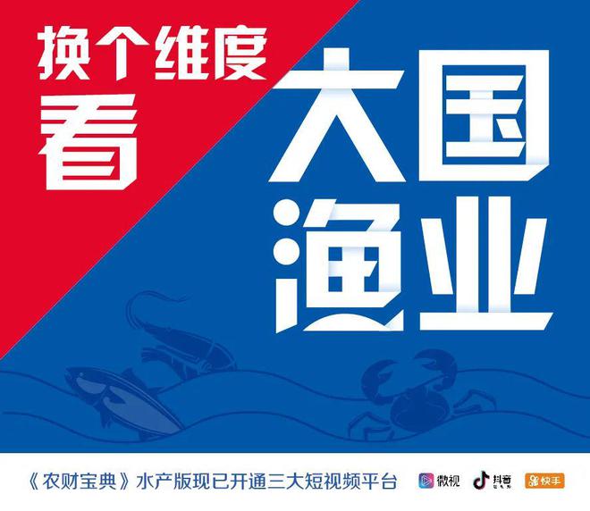 致富经淡水虾养殖视频_致富经养河虾_致富经养虾