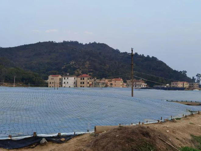 致富经淡水虾养殖视频_致富经养虾_致富经养河虾