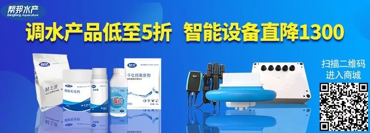 龙虾致富经_致富经小龙虾_致富经小龙虾养殖技术