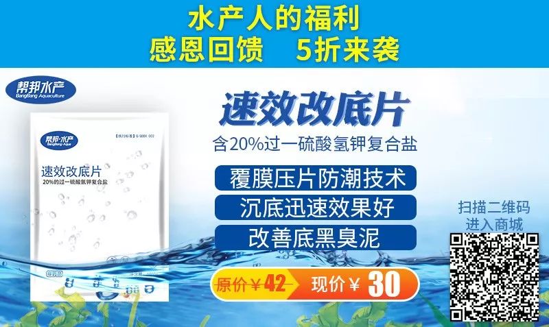 致富经小龙虾养殖技术_致富经小龙虾_龙虾致富经