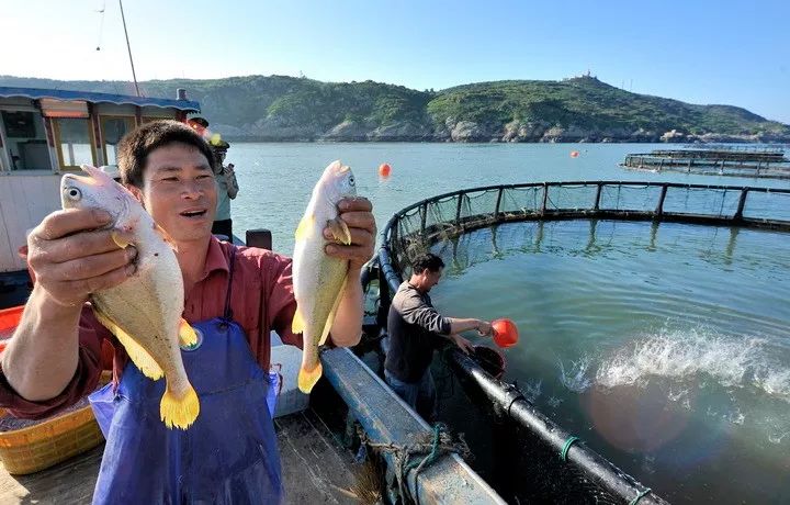 致富张大良养黄鳝视频_致富经张_致富经张