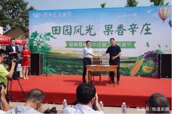 致富三农养牛视频_三农致富经_致富三农视频
