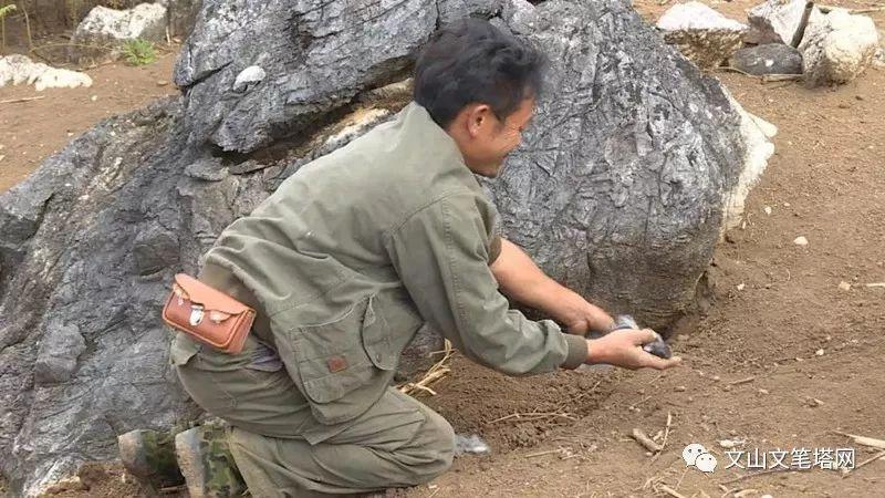 致富经养兔_致富经兔子养殖_致富养兔子