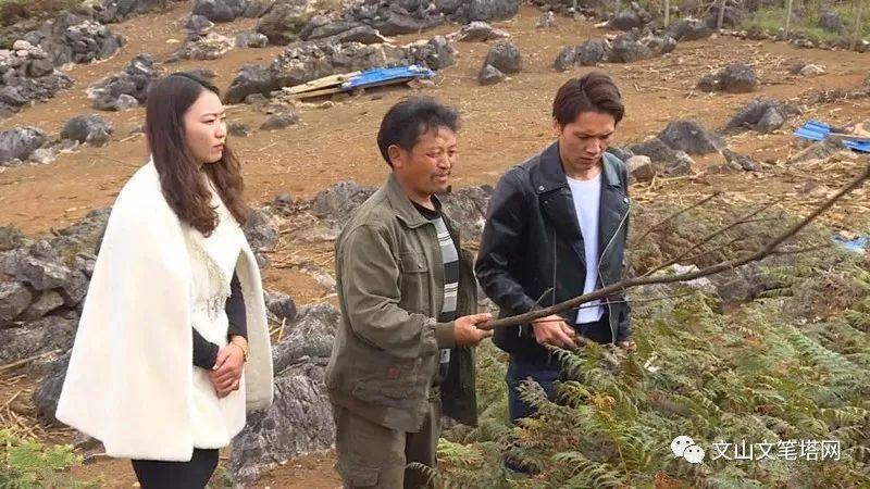 致富经养兔_致富经兔子养殖_致富养兔子