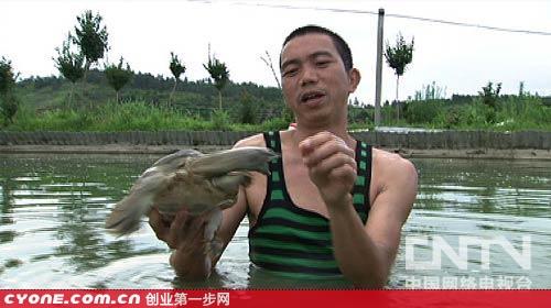中央7套致富经_中央致富经是真的假的_中央致富经在哪个频道