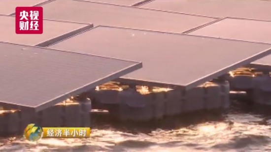 养鱼致富经_致富养鱼视频_致富经养鱼一年多赚1000万