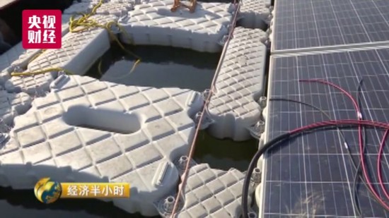 致富养鱼视频_致富经养鱼一年多赚1000万_养鱼致富经