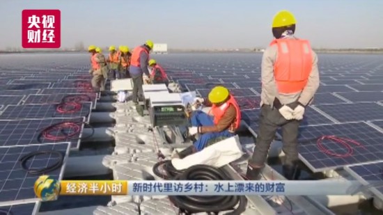 养鱼致富经_致富经养鱼一年多赚1000万_致富养鱼视频
