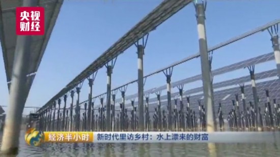 致富养鱼视频_养鱼致富经_致富经养鱼一年多赚1000万
