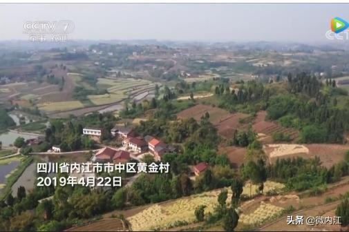 中央台致富节目有哪些_中央7套致富经_中央致富经是真的假的