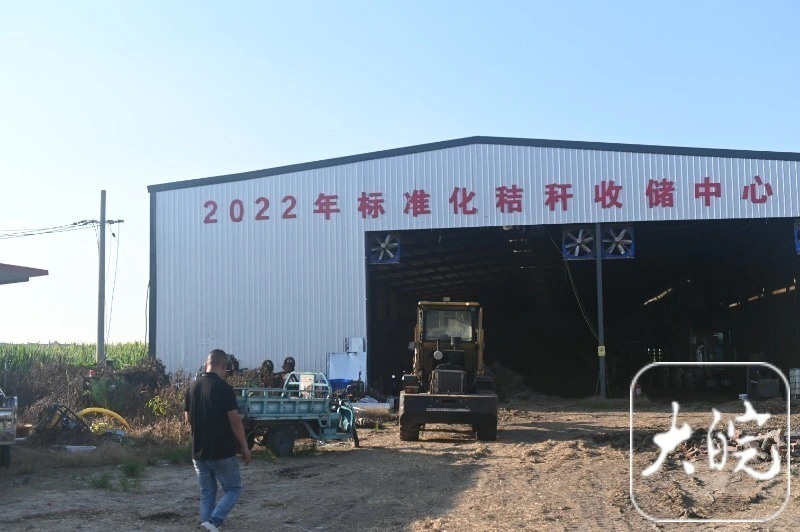 致富经养牛_2021年致富经养牛视频_养牛致富经