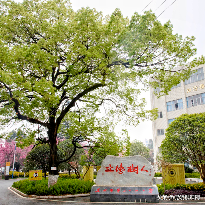 外研社优质课分享经验_外研版初中英语优质课一等奖_外研社小学英语优质课