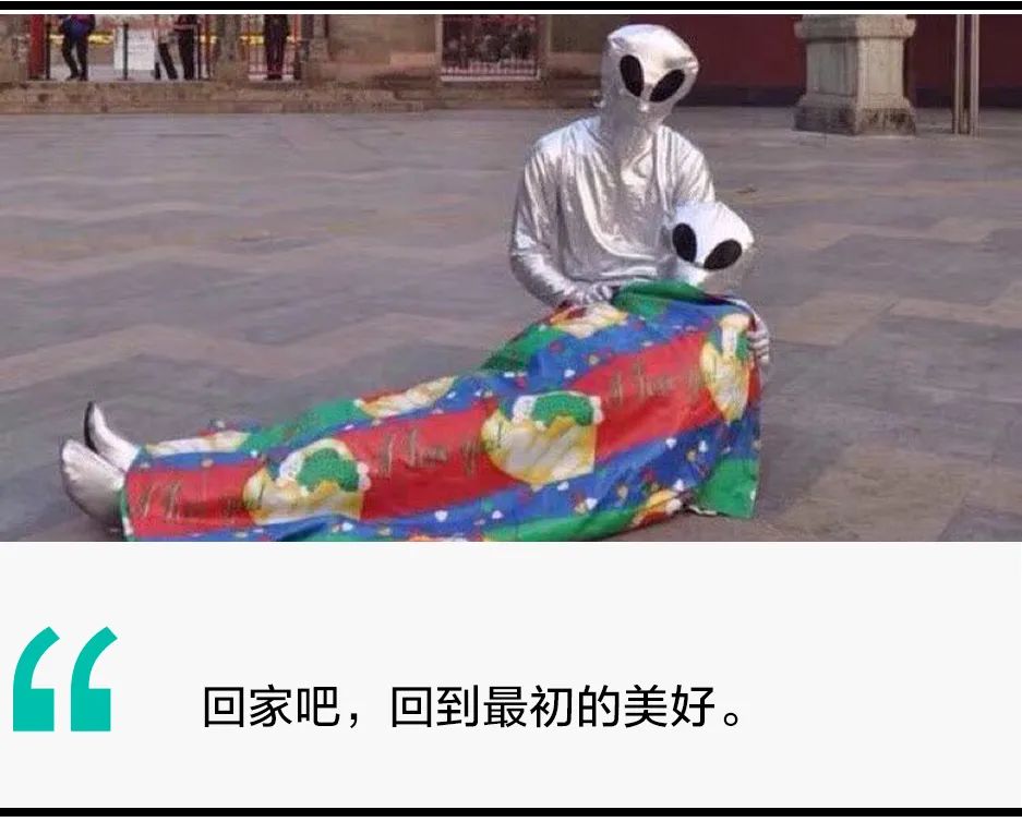 养羊致富经_养羊致富经2020年全集_致富经创业项目农村养殖羊