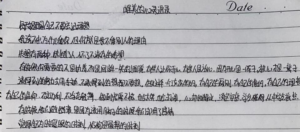 养羊致富经_致富经创业项目农村养殖羊_养羊致富经2020年全集