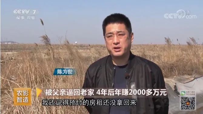 养羊致富经_致富经创业项目农村养殖羊_养羊致富经2020年全集